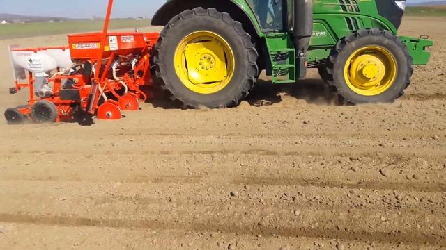 John deere 6120m///gaspardo mt6 sunflower ///floarea soarelui