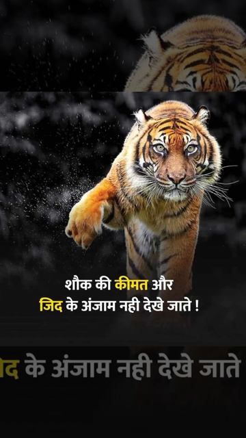 tiger #motivation #successful #quotes #status смотреть онлайн