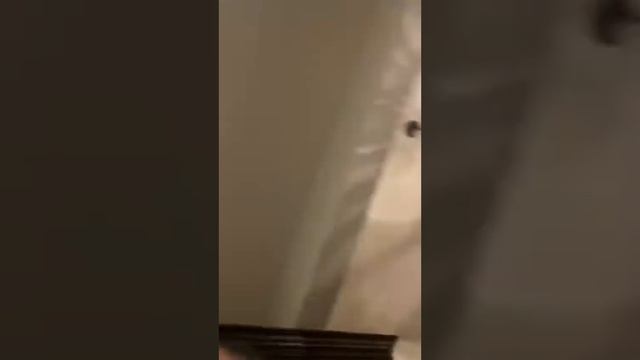 laceyjaneinc~1594861949~17845092707284012~1 смотреть онлайн