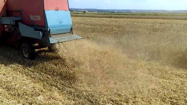 Żniwa 2018, BIZON ZO56 Super/MTZ 80 смотреть онлайн
