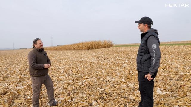 Hatékony módszerek talajerózió ellen: gépek, erózióvédelmi sávok, szintvonalas művelés 12%-os lejtő смотреть онлайн