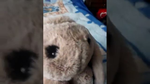 Обзор на кролика сумку-рюкзак смотреть онлайн