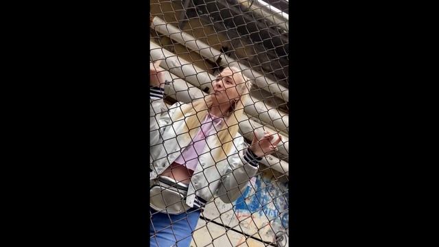 dlb - милиция | snippet смотреть онлайн