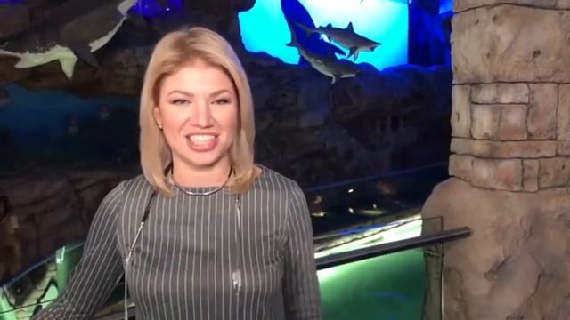 СТУДИЯ ВОКАЛА NEXT STAR смотреть онлайн