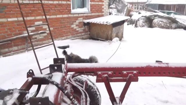 Он снова в строю смотреть онлайн