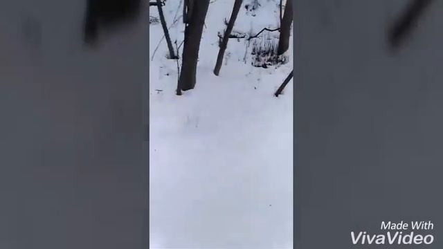 Парк Фили смотреть онлайн