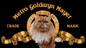 Музыкальные коты