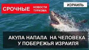 АКУЛА НАПАЛА НА ЧЕЛОВЕКА НА ПЛЯЖЕ ИЗРАИЛЯ