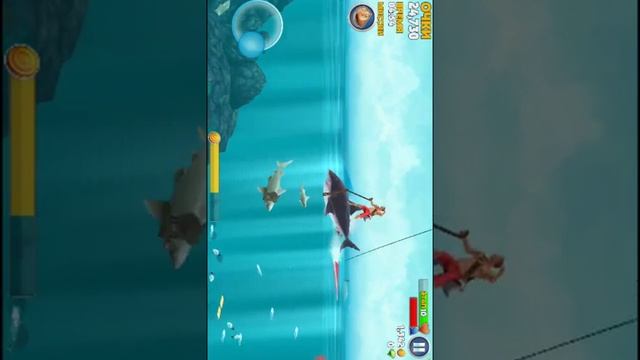 Играем в голодную акулу смотреть онлайн