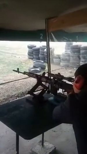Тигр 05 (свд) на 100 метров