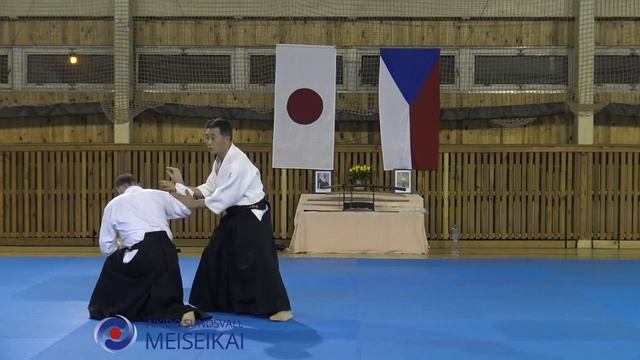9 Aikido Sodedori Nikyo Shishiya Sensei, Horice 2016