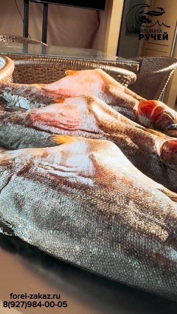 Вяленая форель от форелевого хозяйства 