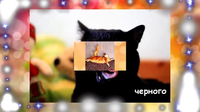 МЯУ смотреть онлайн