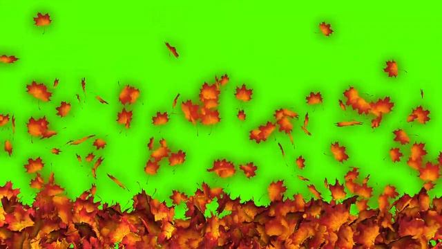 Green Screen Falling leaves, Transition Autumn Футаж Переход осенние листья клена смотреть онлайн