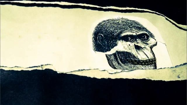 Stop Motion para Morfologia 2 Catedra Pereyra 2012 смотреть онлайн