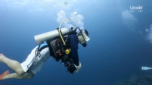H W diving spidan смотреть онлайн