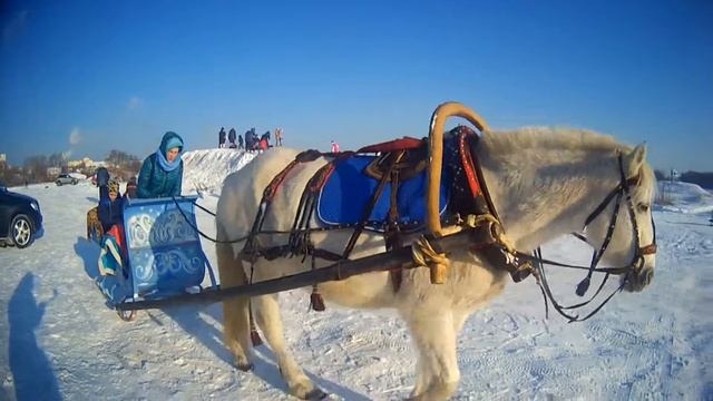 Лошадки на Саввинском поле г.Железнодорожный смотреть онлайн