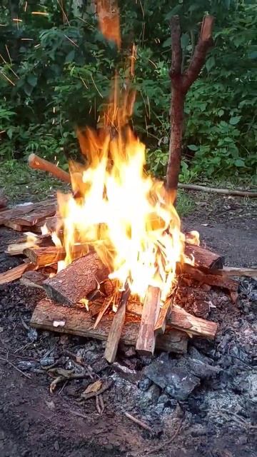 Наедине с природой. Лес, костёр, горячий чай. смотреть онлайн