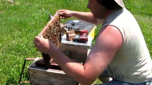 Опять у меня гости! смотреть онлайн