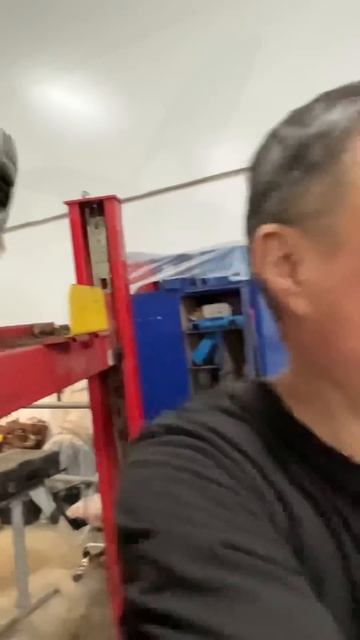 Пежо 307 в изумительном состоянии!