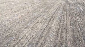 Шок!!! Глифосат работает при ноль градусов!