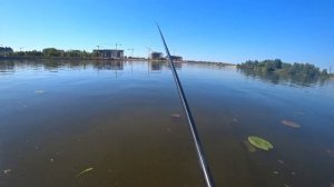 Летняя мормышка.  28 мая 2024. Грустная рыбалка...