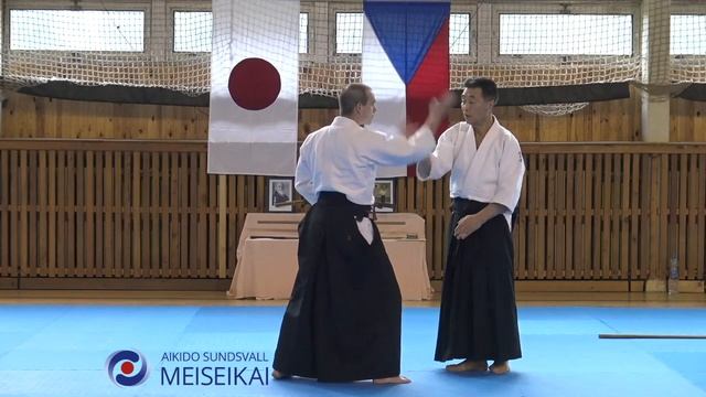 16 Aikido Tsuki Nikyo Shishiya Sensei, Horice 2016