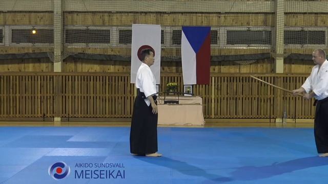 2 Aikido Tachidori Kokyonage Shishiya Sensei, Horice 2016