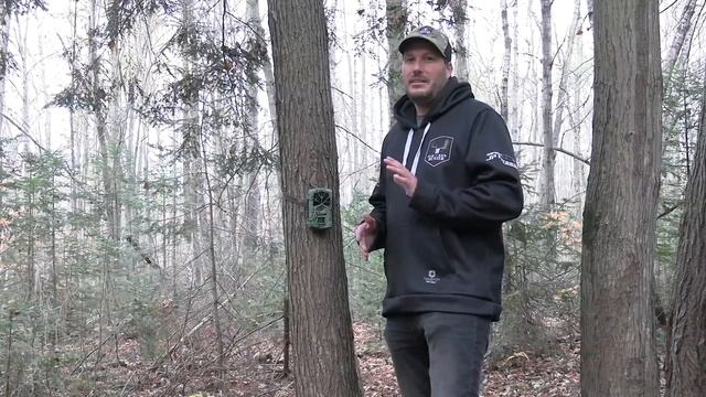 Boly BG590 24MHD смотреть онлайн