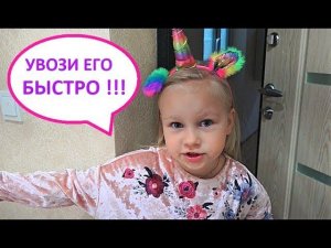 Алиса просит увезти Васю в Сатку ! Отличник Лайф