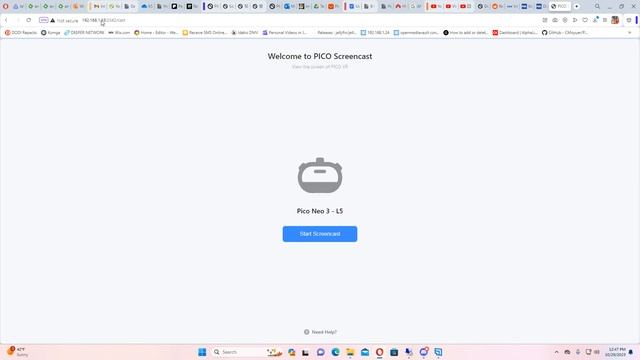 How to Change Regions in pico смотреть онлайн