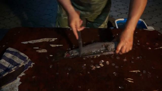 Дамаск. Филейный нож кузницы Эльбрус. Как разделать сазана смотреть онлайн