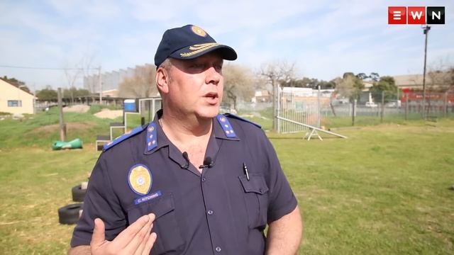 Metro cops new K-9 recruits смотреть онлайн