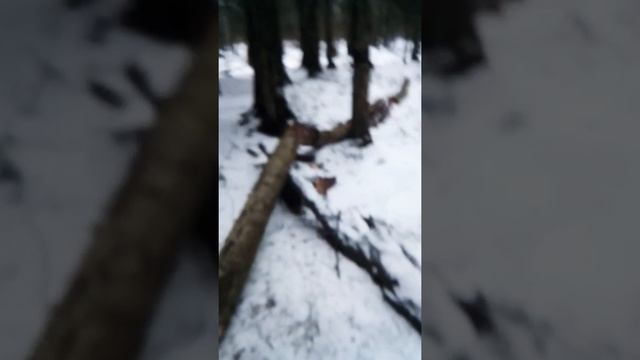 Нож ушанка и лесок смотреть онлайн