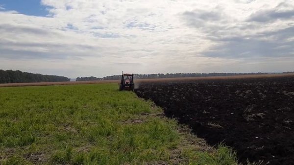 Трактор #YTO LX954 з польським плугом #AgroMasz (Черкаська область)| Agro Assistance Group