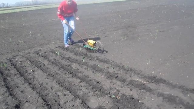Ручная сеялка в работе. Настройка, как сеять. смотреть онлайн