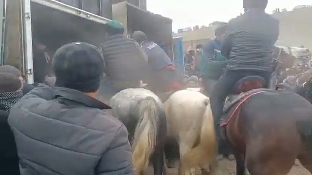 Жылғалық Батыр Намаз палуан Өзбекстанда салымды болды. смотреть онлайн