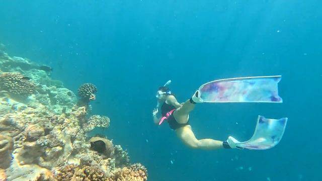 Maldives 2002 ..The weeknd -Save Your Tear смотреть онлайн