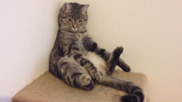 мимими смотреть онлайн
