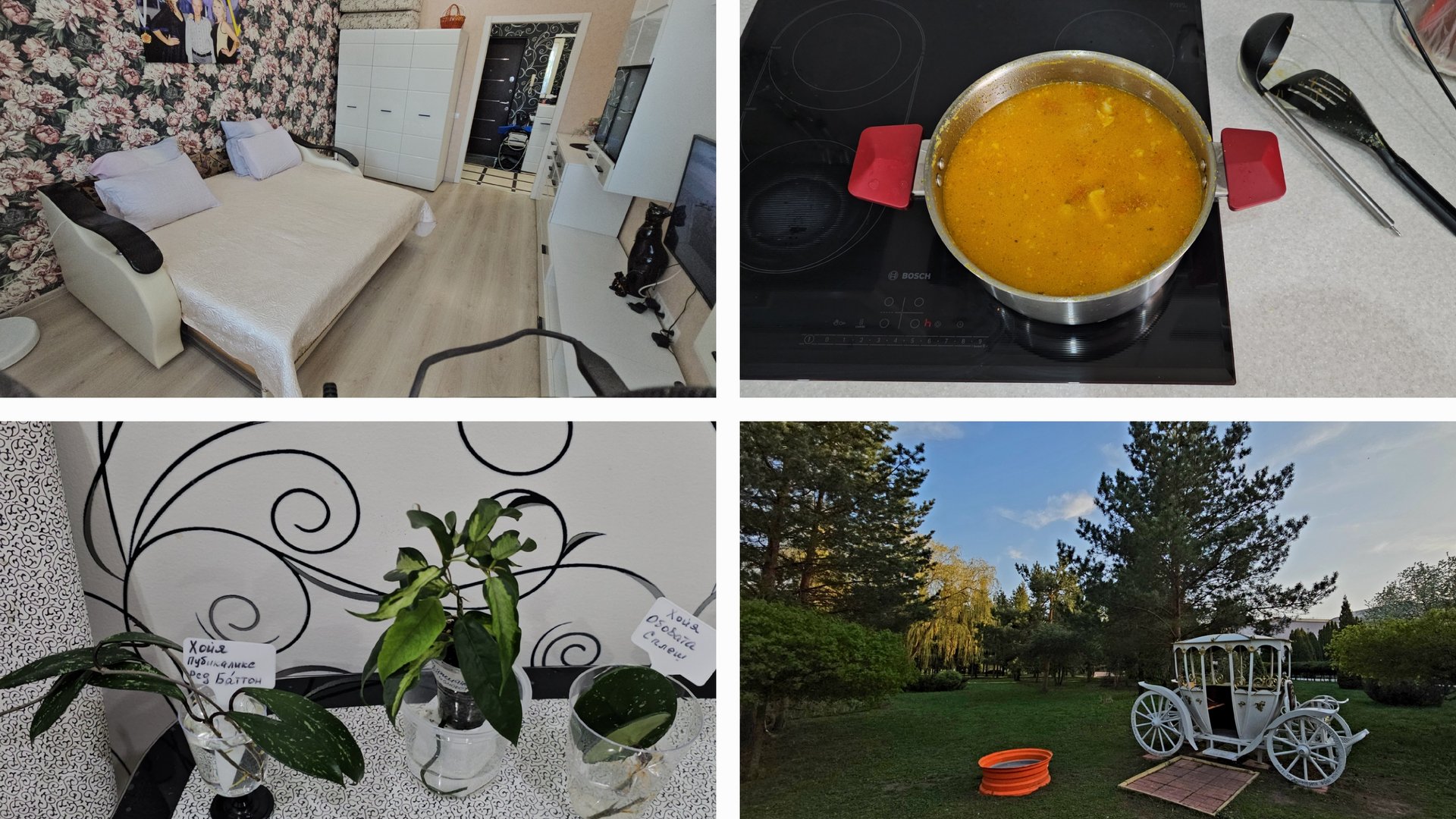 22.04.2025г Гороховый суп/ Смена постельного белья/ Посылка от подписчицы/Пополнение/ Хойи/ Прогулка смотреть онлайн