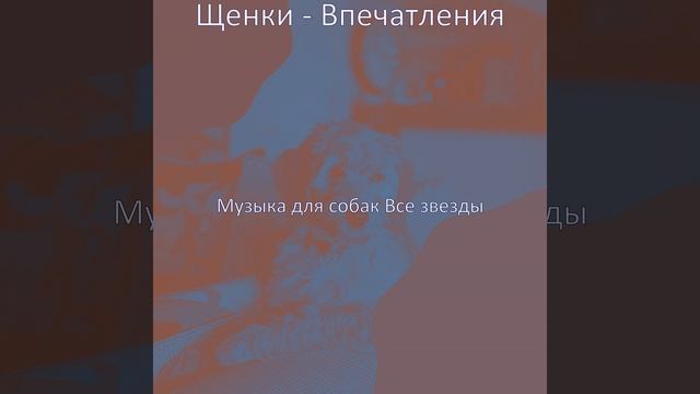 Видения (Одинокие собаки) смотреть онлайн