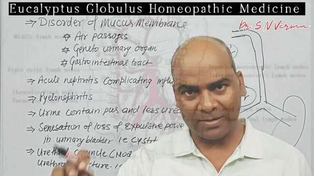 🌺 Eucalyptus Globulus Homeopathic Medicine Discription in Hindi 🌺 смотреть онлайн