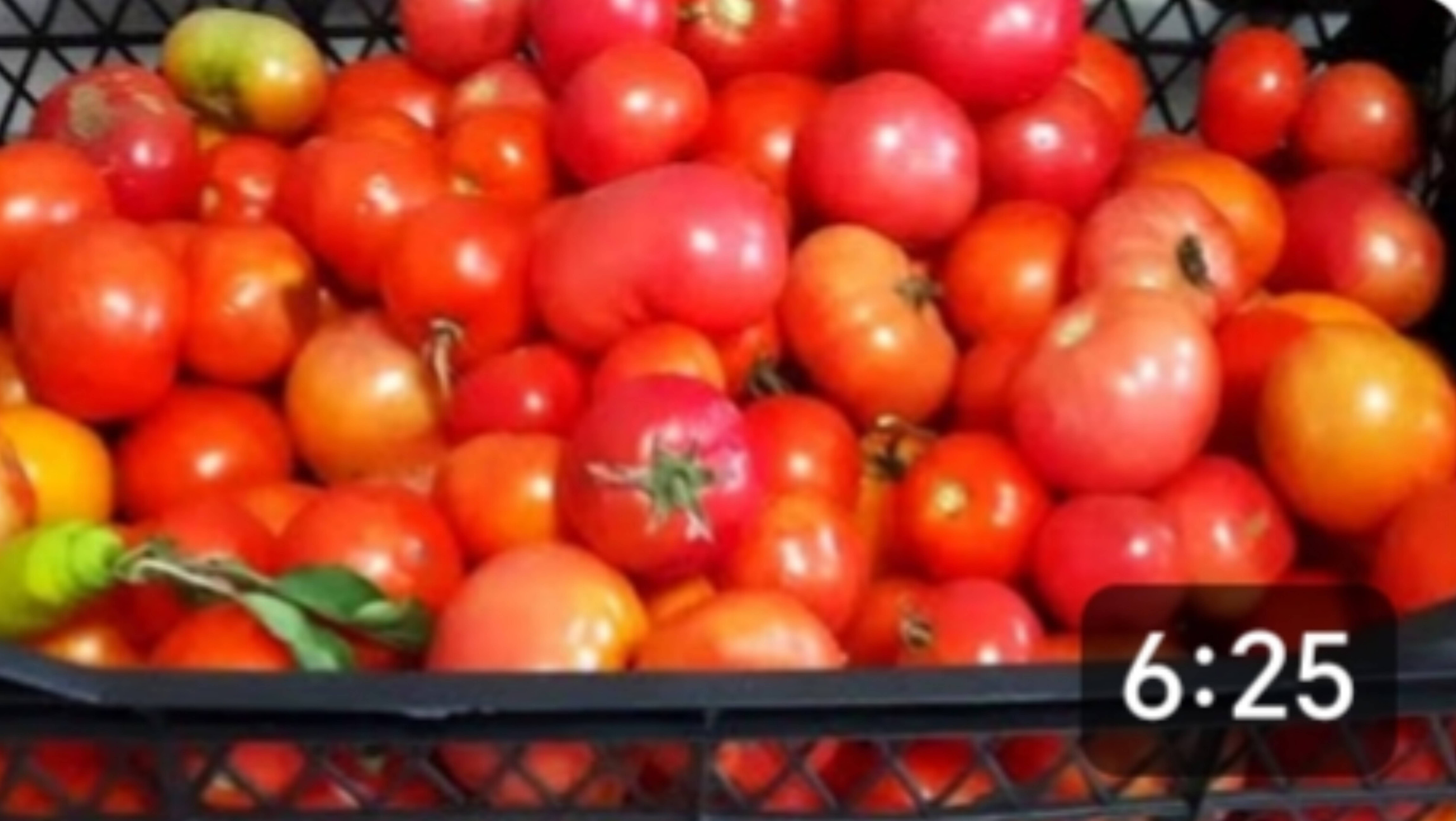 Закрыли дачный сезон. Наш последний урожай в этом году. смотреть онлайн