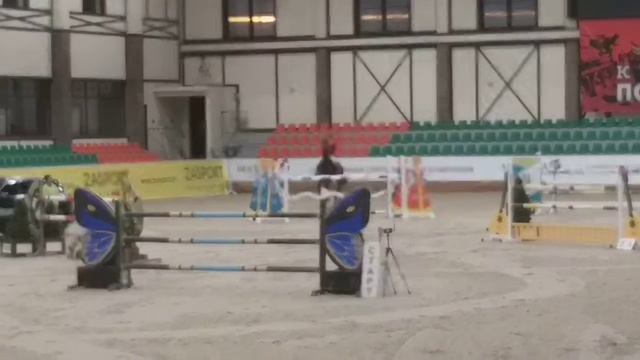 MaximaStables .Кубок Армении. маршрут 140см. Бивальди смотреть онлайн