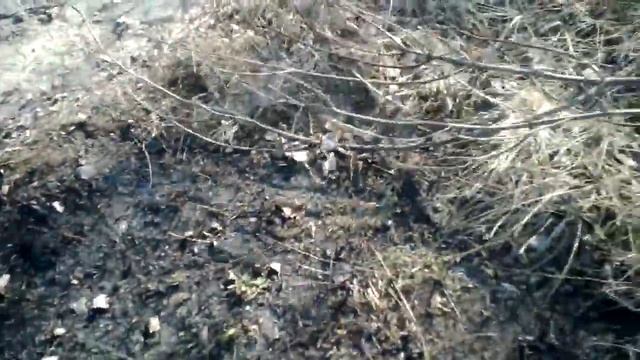 Nature: Тушение пожара.(2) потушили. смотреть онлайн