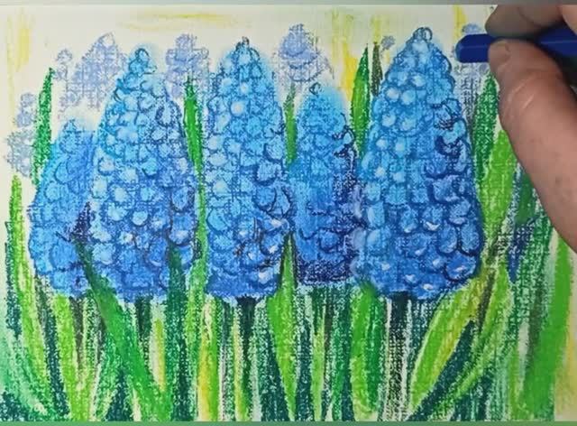 Как нарисовать цветок Мышиный гиацинт пастелью. смотреть онлайн