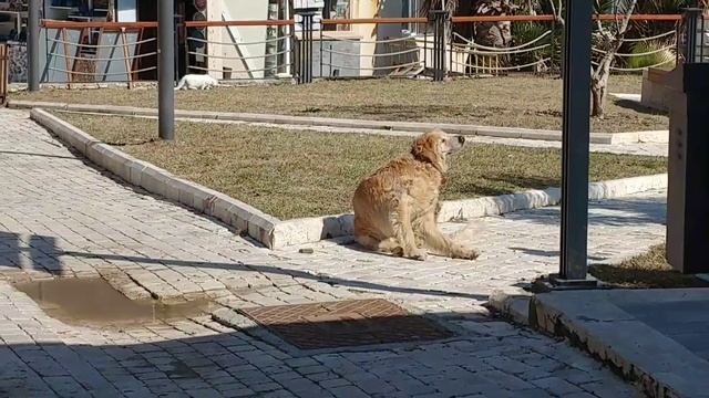 MANAVGAT SİDE SOKAKLARI #manavgat #travel смотреть онлайн