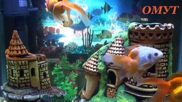 300. С ЮБИЛЕЙНЫМ!!! РОДНЫЕ!!! смотреть онлайн