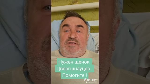 В селе себе во двор никто не возьмёт такую собаку, потому что она дорого стоит. смотреть онлайн