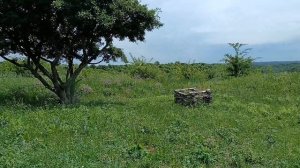 Там будто время останавливается❤️